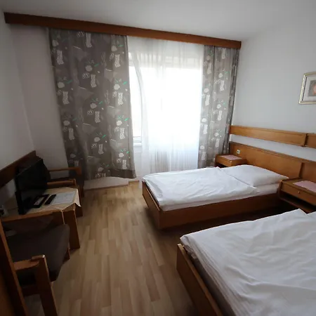 فندق Kleinmuenchen لينتز